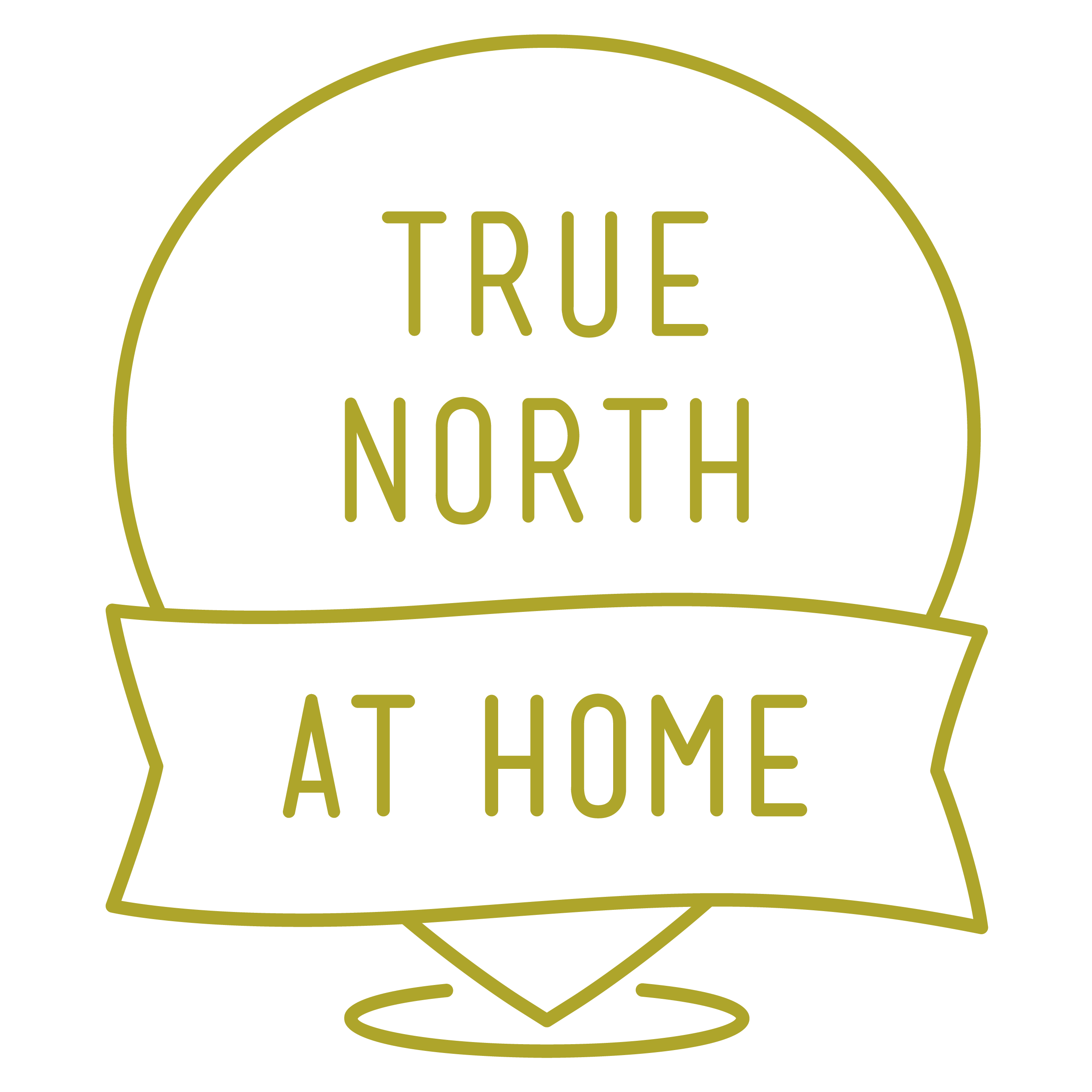 True North at Home Logo