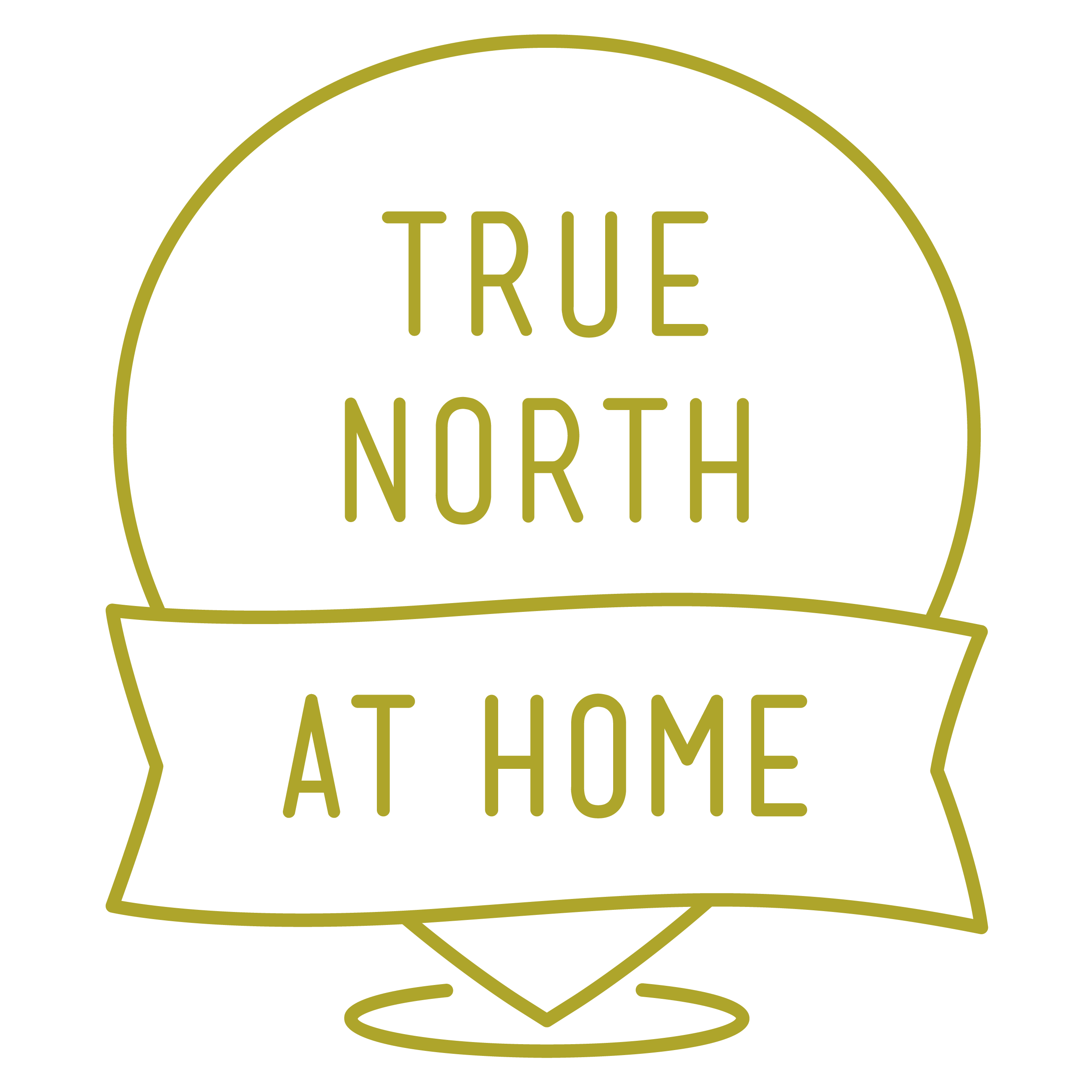 True North at Home Logo