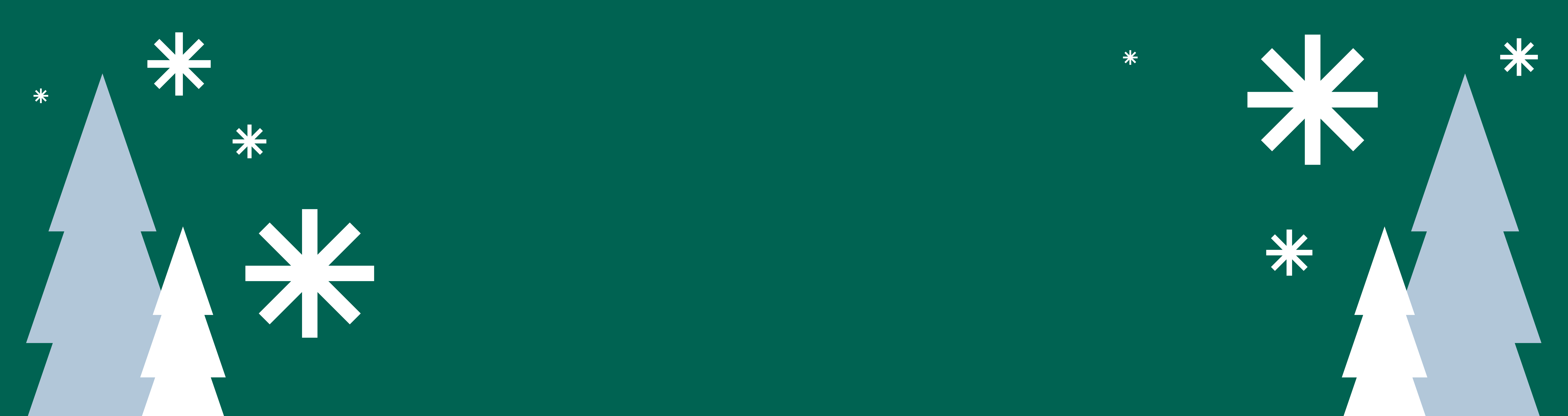 Christmas Website Full Width Banner_BO christmas web banner